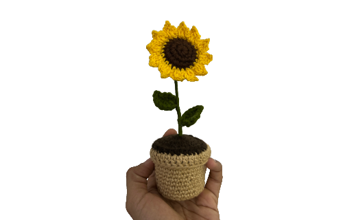 Potted Flowers